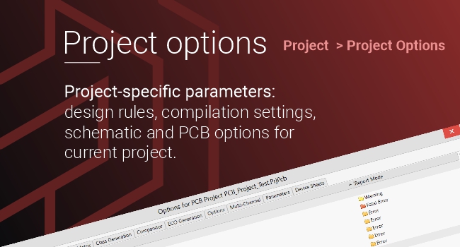 Project options